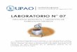 Lab07 - Gravedad Especifica y Absorcion de Agregado Grueso - UPAO