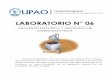 Lab06 - Gravedad Especifica y Absorcion de Agregado Fino - UPAO
