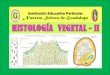 Histologia  vegetal   ii