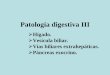 12 tp patología digestiva iii