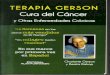 Terapia de-gerson-cura-del-cancer-y-otras-enfermedades-cronicas-131016184758-phpapp02-140705142112-phpapp01
