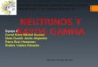 Neutrinos y rayos gamma