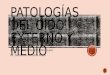 Patologías del oído externo y medio. Lucía Flores Lazo. Dr. Fonseca Risco