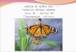 4 Corazones unidos por la mariposa monarca
