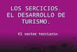 Presentacion De Sociales "el sector terciario"