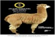 Atlas de osteología de la alpaca adulta. Perú