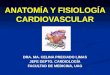 1 anatomía y fisiología cardiovascular 08