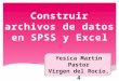 Seminario 4. Construir archivos de datos en SPSS y Excel