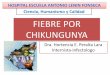 Presentacion de chikungunya
