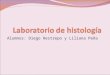 Histologia laboratorio