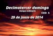 DOMINGO XIII DEL TO. CICLO A. 29 DE JUUNIO DEL 2014
