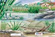 Manual de creacion de charcas para anfibios (Reforesta 2007)