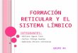Formación reticular y el sistema límbico