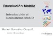 Rafael gonzalez  otoya ecosistema-mobile