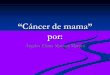 El cancer de mama