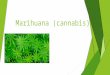 Marihuana (cannabis)