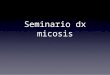 Seminario Dx Micosis