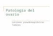 Ficha 63 y 64 patología del ovario