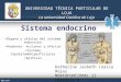 Histologia teorica-sistema-endocrino