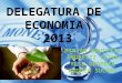 Delegatura de economia m (1)