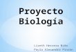 Proyecto biolog­a