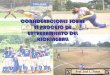Consideraciones sobre el proceso de entrenamiento en  kickingball. prof. josé loreto funes