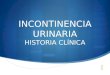 Incontinencia urinaria historia clínica