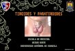 Anatomía de la Tiroides y Paratiroides