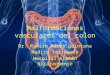 Malformaciones vasculares del colon