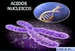 Biologia Molecular. acidos nucleicos