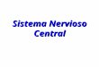 L snc-090413182316-phpapp01 sistema nervioso central