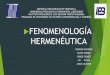 Fenomenología Hermeneútica