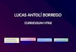 Lucas Antolí Borrego CV