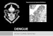 22.  dengue
