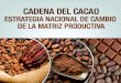 4. cadena del cacao