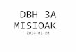 DBH3A 2014-01-20
