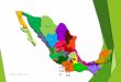 MAPA DE MÉXICO (Trabajo final II parcial informática )