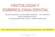 2015 histología y embriologia dental