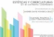 Poster Digital   EstéTicas Y Ciberculturas En El Contexto Colombiano. AndréS Fonseca