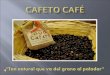 cafe cafeto  Power Point