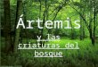 Artemis y las criaturas del bosque