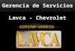 Gerencia de servicios, presentación Lavca