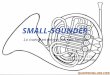 Small Sounder