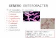 Enterobacterias oportunistas