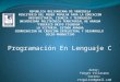 Programacion En Lenguaje C