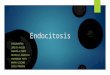 Endocitosis proyecto