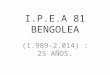 Secundario I.P.E.A 81 Bengolea