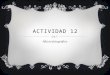 Actividad 12