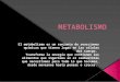 Metabolismo bcm (2)