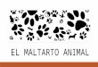 CONSECUENCIAS DEL MALTRATO ANIMAL